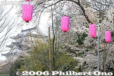 Chiba Castle and paper lanterns
Keywords: chiba castle inohana park sakura cherry blossoms
