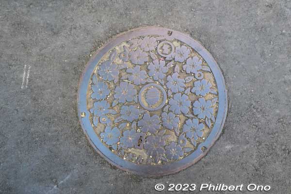 Manhole in Kashiwa, Chiba Prefecture.
Keywords: Chiba Kashiwa Station manhole