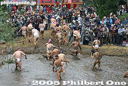 They are in the mud for only a few minutes. Then they go back up to the shrine nearby and warm up near a fire. They go back and forth between the shrine and mud paddy about 4 or 5 times.
Keywords: chiba, yotsukaido, Warabi Hadaka Matsuri, festival, mud