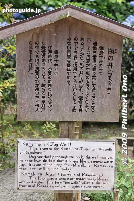 About Kame-no-i Well
Keywords: kanagawa kamakura meigetsu-in temple zen ajisai hydrangea flowers 
