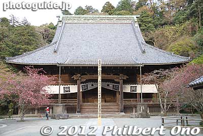 Soshido Hall at Myohonji temple, Kamakura. Temple's main hall. 祖師堂
Keywords: kanagawa kamakura myohonji buddhist japantemple nichiren sakura cherry blossoms