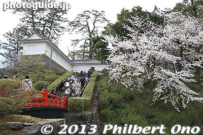 Near Tokiwagi Gate.
Keywords: kanagawa odawara castle cherry blossoms sakura flowers