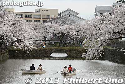 Keywords: kanagawa odawara castle cherry blossoms sakura flowers moat rowboats