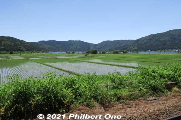 By late May, rice seedlings already planted and paddies flooded.
Keywords: shiga nagahama lake yogo
