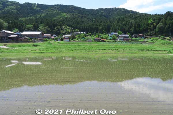 Lake Yogo has this populated area with rice paddies.
Keywords: shiga nagahama lake yogo