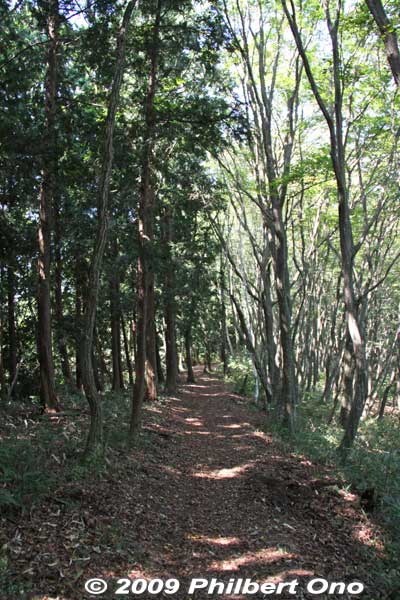 From Mt. Shizugatake, a short downhill trail to Lake Yogo.
Keywords: shiga nagahama lake yogo