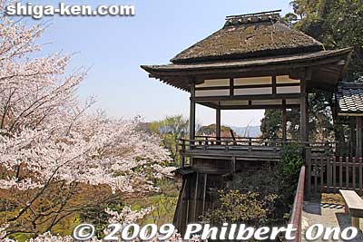 Ishiyama-dera's Moon-viewing Pavilion and cherry blossoms. Not open to the public. 月見亭
Keywords: shiga otsu ishiyama-dera buddhist temple cherry blossoms sakura otsusakura shigabestsakura