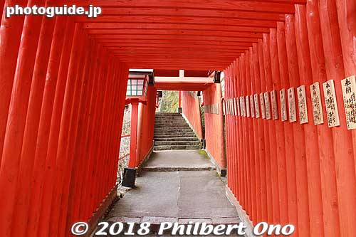 Inside the torii tunnel at Taikodani Inari Jinja Shrine in Tsuwano, Shimane Prefecture
Keywords: shimane tsuwano Taikodani Inari Jinja Shrine