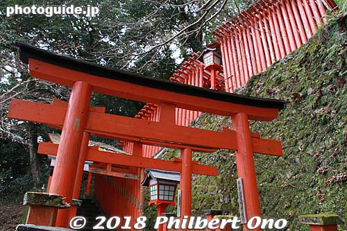Taikodani Inari Jinja Shrine toriis
Keywords: shimane tsuwano Taikodani Inari Jinja Shrine japanshrine