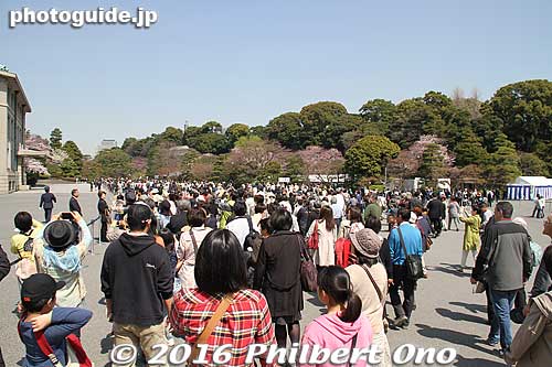 On this fine day on March 31, 2016, 66,950 people visited Inui-dori. During March 25–April 3, 2016, a total of 508,010 visited Inui-dori.
Keywords: tokyo chiyoda-ku imperial palace inui-dori