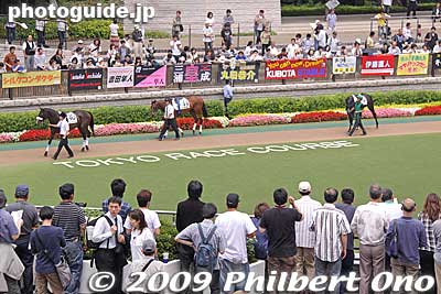 Keywords: tokyo fuchu race course horse racing 