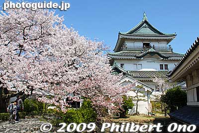 Cherry blossoms and Wakayama Castle tower.
Keywords: wakayama castle cherry blossoms sakura flowers japancastle