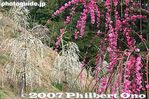 059-IMG_9286.jpg