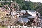 065-IMG_9300.jpg