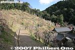 068-IMG_9305.jpg