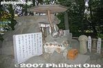 026-IMG_9764.jpg