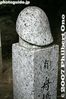 032-IMG_9765.jpg