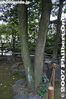 039-IMG_9848.jpg