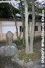 040-IMG_9854.jpg