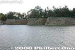na813-IMG_4367.jpg