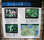 Filename=ao244-20220608-0208.jpg
Filesize=95KiB
Dimensions=800x715
Date added=Jul 17, 2022 ao244-20220608-0208.jpg