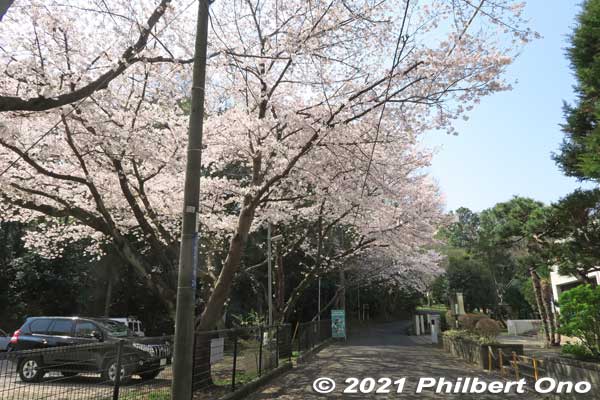 After the small green belt, walk on the street to the Shell Mound. 
Keywords: chiba ichikawa park hiking trail mizu midori kairo