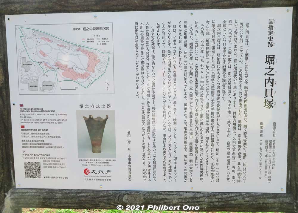 It's hard to discern, but Horinouchi Kaizuka Shell Mound is as long as 225 meters and 100 meters wide. 
Pink portion in the diagram on the upper left shows where the shells, animal bones (mostly boar and deer) and other food waste were tossed on the hillsides during 4,000 to 2,500 years ago (Jomon Period). They form a horseshoe shape on the hill. 
The mound was a central feature of the Jomon Period cluster of homes in this area. Since the late 19th century (Meiji Period), many digs and research on this shell mound have been conducted by archaeologists. However, there are still unknown things about mound.
Keywords: chiba ichikawa park hiking trail mizu midori kairo