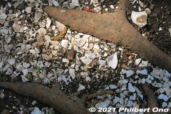 While walking through Horinouchi Kaizuka Shell Mound, many pieces of shell or pottery on the ground. Still here, after thousands of years!
Read more about this shell mound here: [url=https://ichikawashi.jp/horinouchi/index_en.html]https://ichikawashi.jp/horinouchi/index_en.html[/url]
Keywords: chiba ichikawa park hiking trail mizu midori kairo