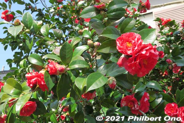 Keywords: chiba ichikawa park hiking trail mizu midori kairo Keywords: chiba ichikawa park hiking trail mizu midori kairo