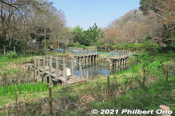 Junsai-ike Ryokuchi green belt park じゅん菜池緑地
Keywords: chiba ichikawa park hiking trail mizu midori kairo