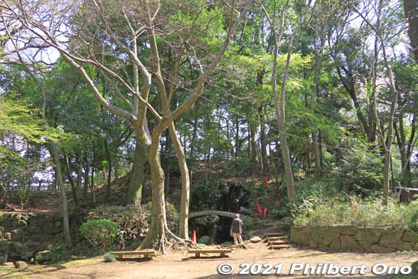 Satomi Park, near the burial mound.
Keywords: chiba ichikawa park hiking trail mizu midori kairo
