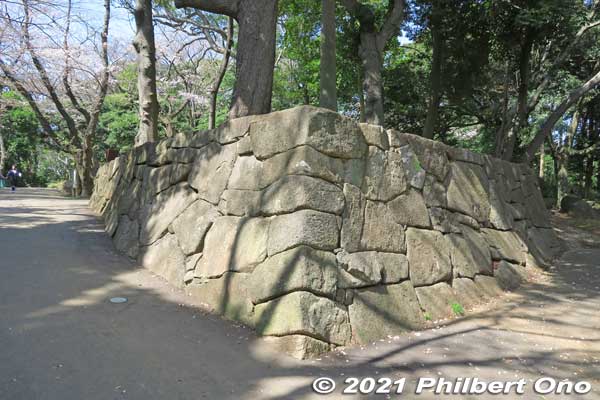 Castle-like stone foundation. Satomi Park is the site of Konodai Castle. However, this stone foundation is not original.
Keywords: chiba ichikawa park hiking trail mizu midori kairo