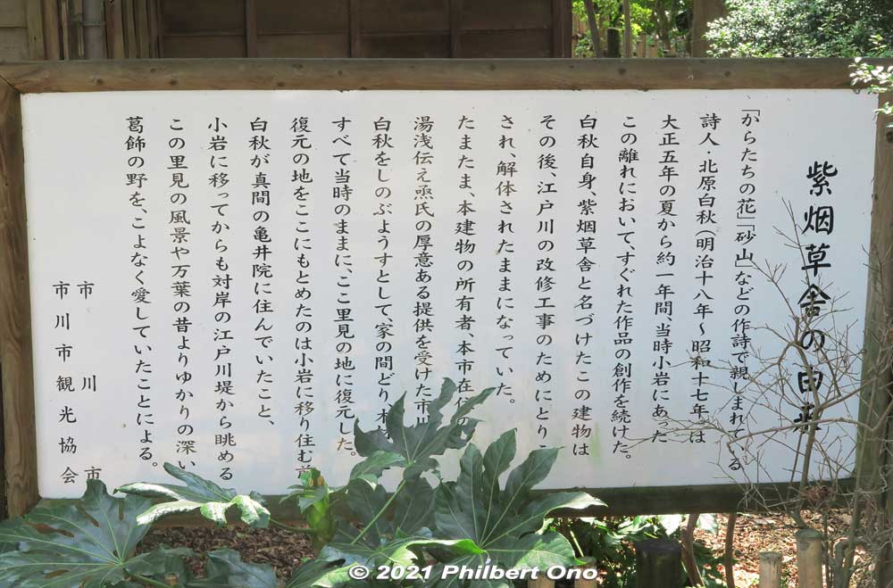 About Shien-soja. It was originally located in Koiwa (Edogawa Ward, Tokyo) and moved here. (紫烟草舎).
Keywords: chiba ichikawa park hiking trail mizu midori kairo