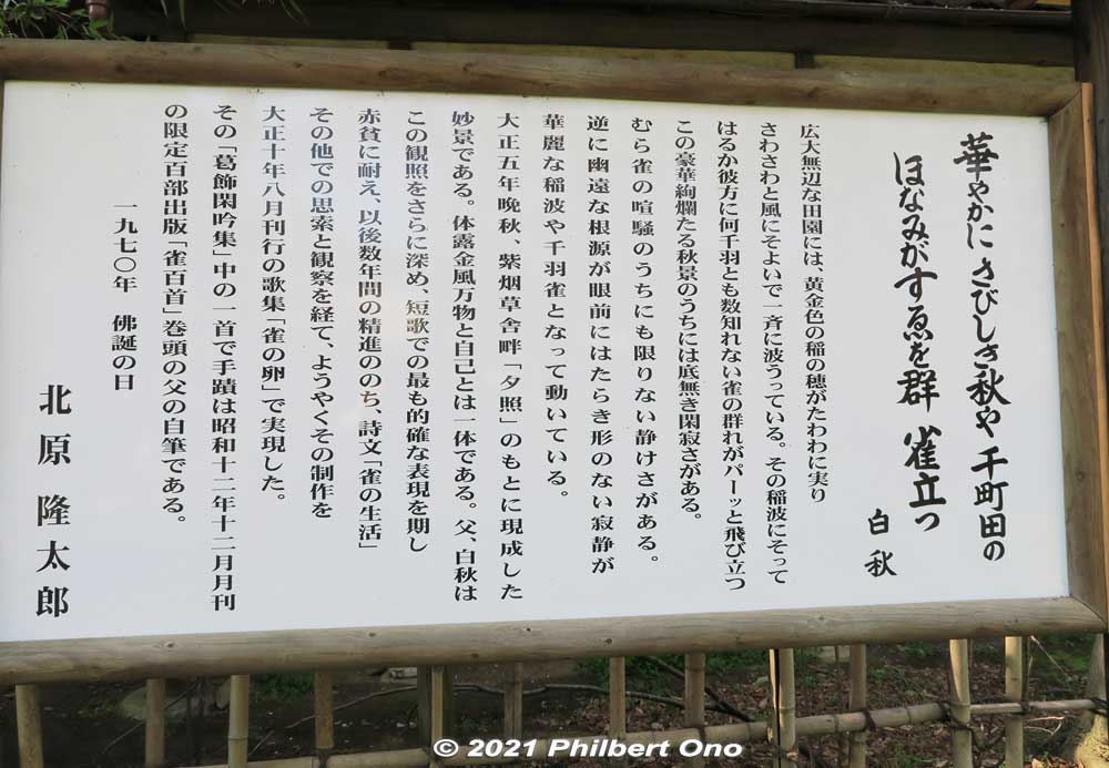 Keywords: chiba ichikawa park hiking trail mizu midori kairo Keywords: chiba ichikawa park hiking trail mizu midori kairo