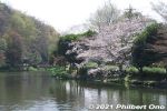 Filename=ic330-20210324_7696.jpg
Filesize=40KiB
Dimensions=600x400
Date added=Apr 07, 2022 ic330-20210324_7696.jpg
