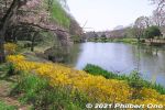 Filename=ic334-20210324_7707.jpg
Filesize=48KiB
Dimensions=600x400
Date added=Apr 07, 2022 ic334-20210324_7707.jpg