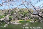 Filename=ic343-20210324_7736.jpg
Filesize=60KiB
Dimensions=600x400
Date added=Apr 07, 2022 ic343-20210324_7736.jpg