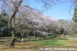 Filename=ic372-20210324_7806.jpg
Filesize=54KiB
Dimensions=600x400
Date added=Apr 07, 2022 ic372-20210324_7806.jpg
