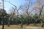 Filename=ic373-20210324_7807.jpg
Filesize=54KiB
Dimensions=600x400
Date added=Apr 07, 2022 ic373-20210324_7807.jpg