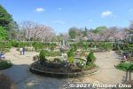 Filename=ic400-20210324_7840.jpg
Filesize=38KiB
Dimensions=600x400
Date added=Apr 07, 2022 ic400-20210324_7840.jpg