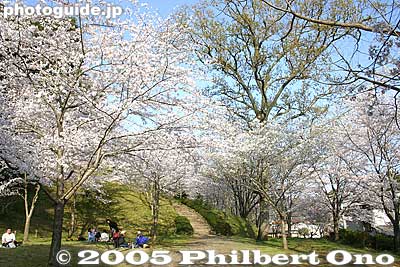 Cherry blossom grove
Keywords: chiba, narita, narita-san, temple, Buddhist, sakura, cherry blossoms, garden Cherry blossom grove
Keywords: chiba, narita, narita-san, temple, Buddhist, sakura, cherry blossoms, garden