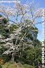 nt200-IMG_7694.jpg