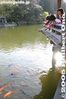 nt207-IMG_7718.jpg