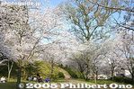nt211-IMG_7741.jpg