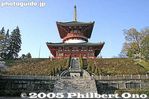 nt212-IMG_7758.jpg