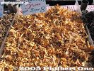 06-IMG_7055.jpg