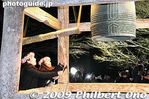 ob075-20090120_1960.jpg