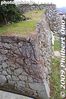 oc075-20090120_1671.jpg
