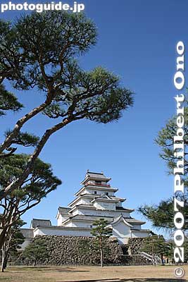 Pine tree and Tsuruga-jo Castle. 鶴ヶ城
Keywords: fukushima aizuwakamatsu aizu-wakamatsu tsurugajo castle tower donjon pine tree matsu
