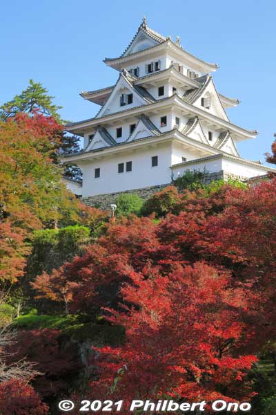 The main tower is now a museum exhibiting local history and culture. The top floor gives commanding views of Gujo-Hachiman.
Keywords: gifu Gujo Hachiman Castle autumn foliage leaves maples